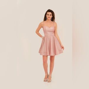 Dave & Johnny Blush Pink Mini Dress
